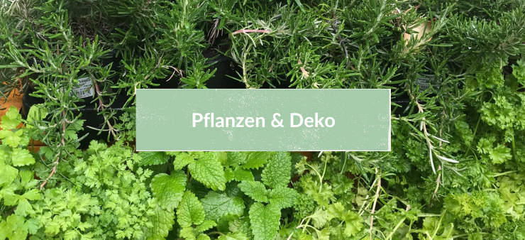 Button Pflanzen und Deko Hofladen Kehm